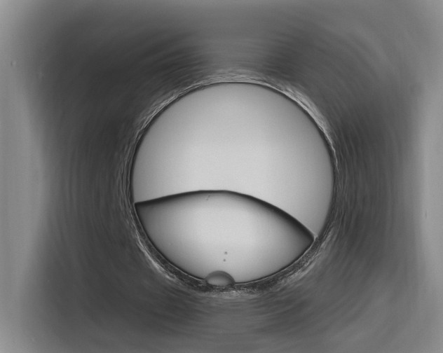X0000116150433200911230955