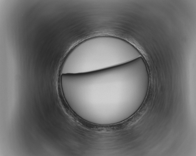 X0000116150434200911230955