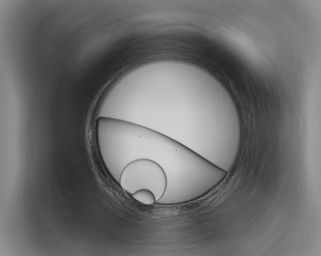 X0000116150435200911230955