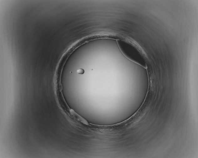 X0000116150436200911230955