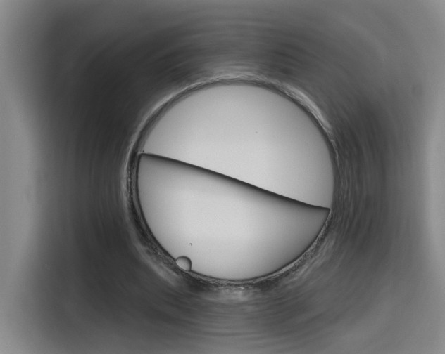 X0000116150439200911230955