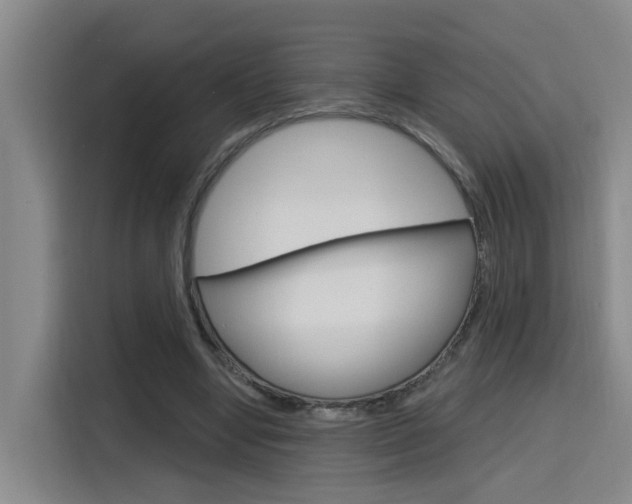 X0000116150442200911230955