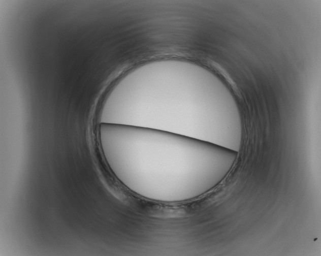 X0000116150443200911230955