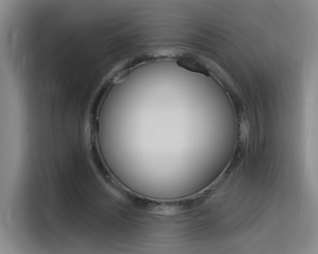 X0000116150444200911230955