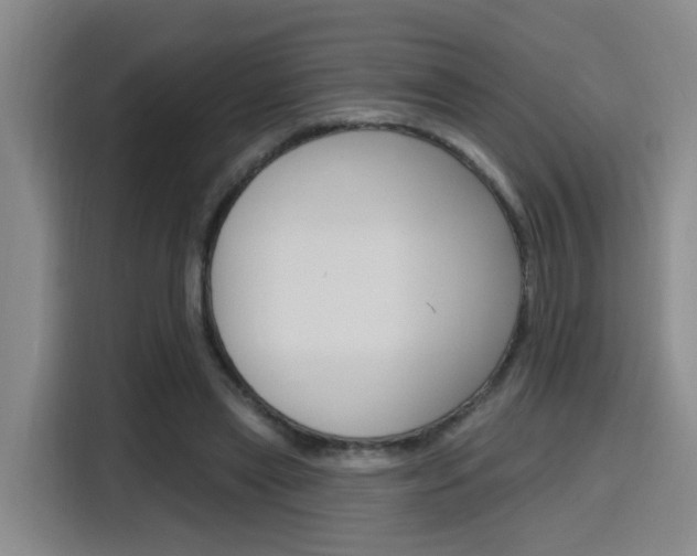 X0000116150445200911230955