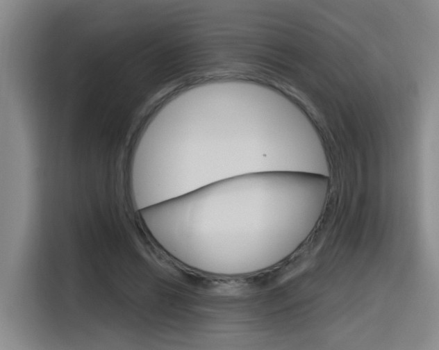 X0000116150446200911230955