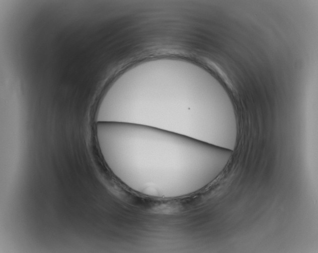 X0000116150447200911230955