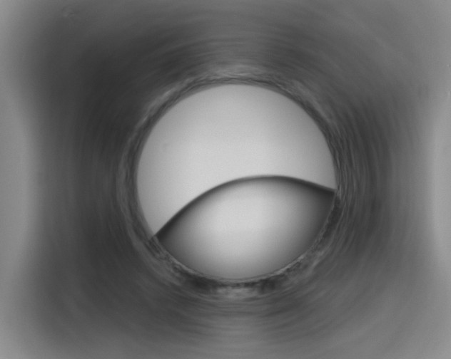 X0000116150448200911230955