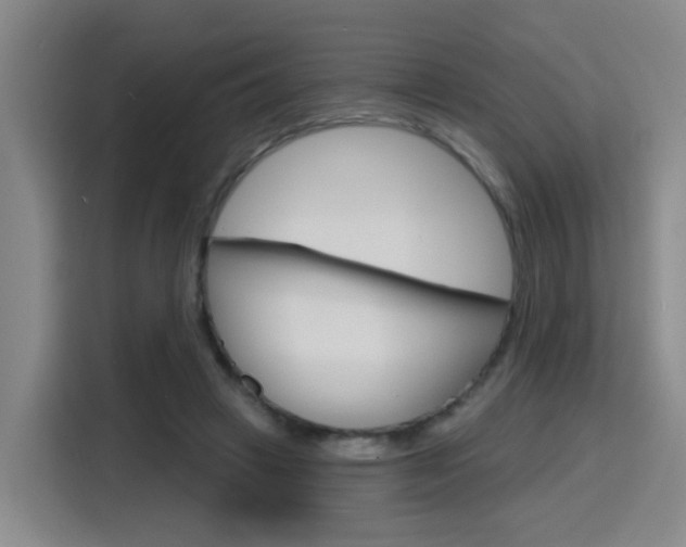 X0000116150449200911230955