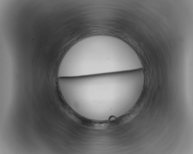 X0000116150450200911230955