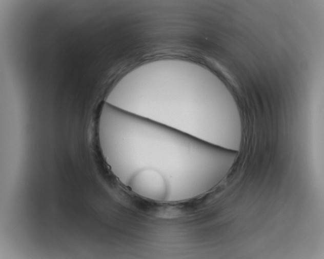 X0000116150451200911230955