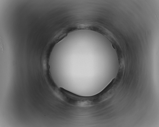X0000116150452200911230955