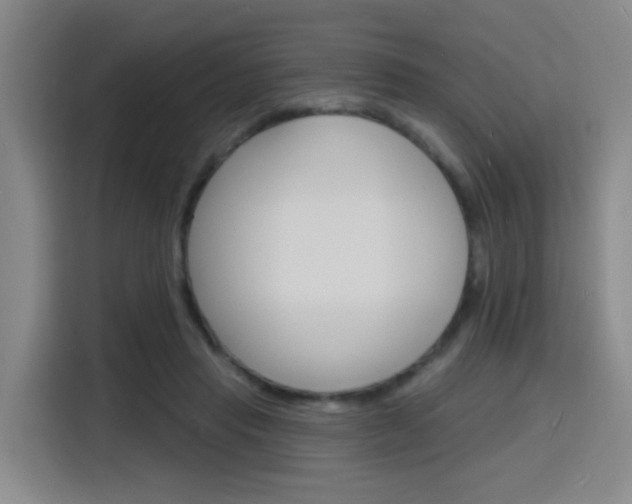 X0000116150453200911230955