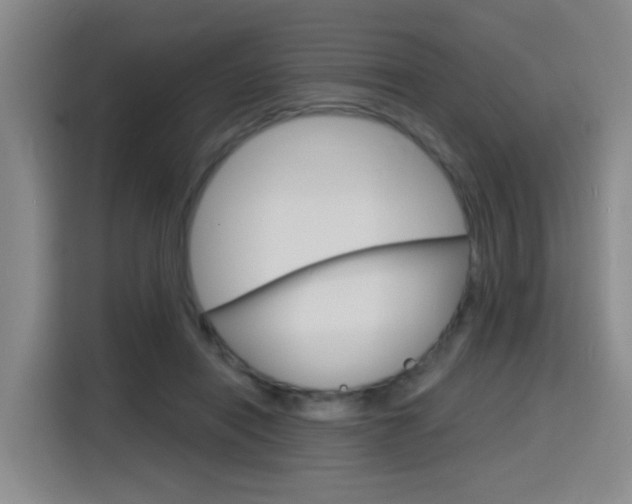 X0000116150454200911230955