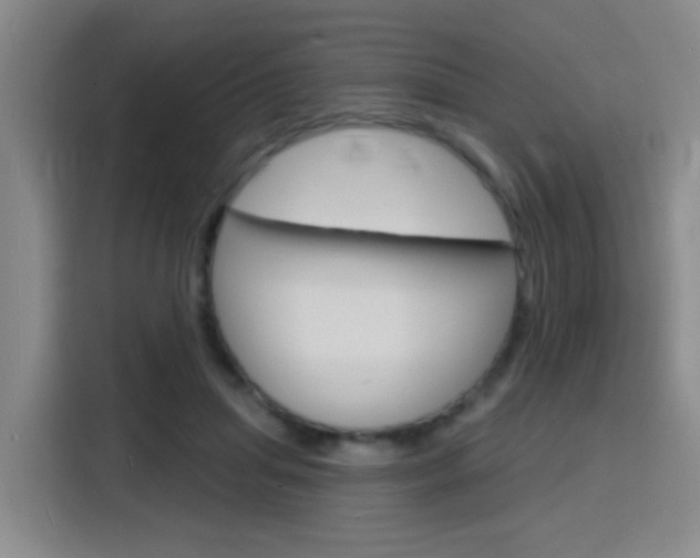 X0000116150455200911230955