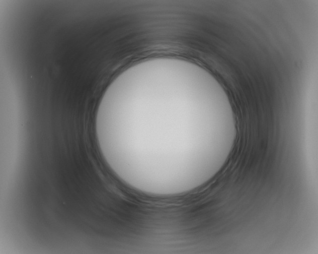 X0000116150456200911230955