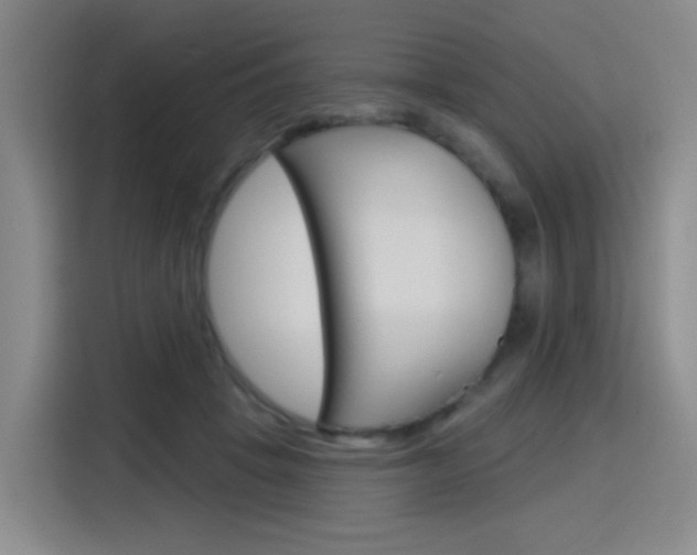 X0000116150457200911230955