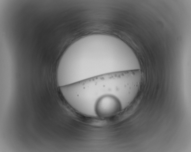 X0000116150458200911230955