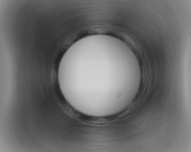 X0000116150459200911230955