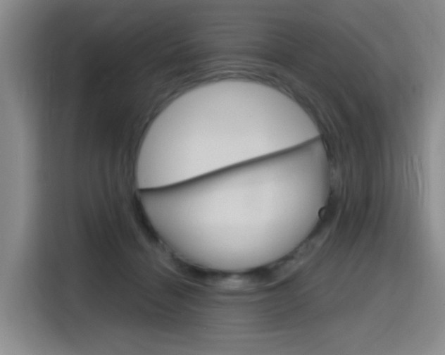 X0000116150460200911230955
