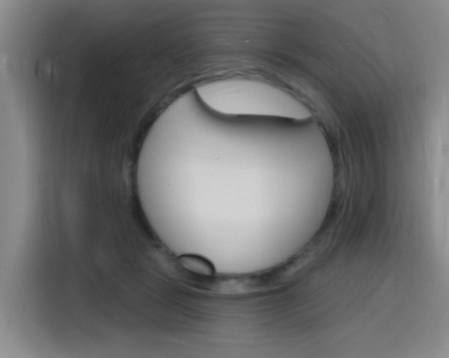 X0000116150461200911230955