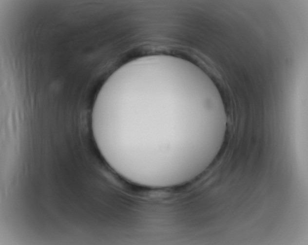 X0000116150462200911230955