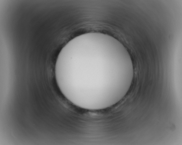 X0000116150464200911230955