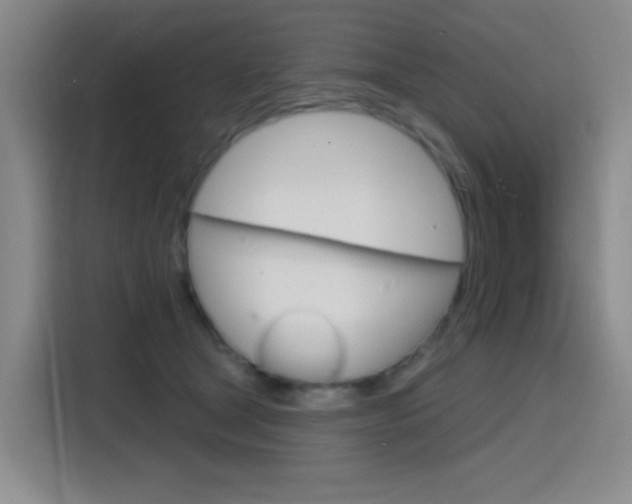 X0000116150465200911230955