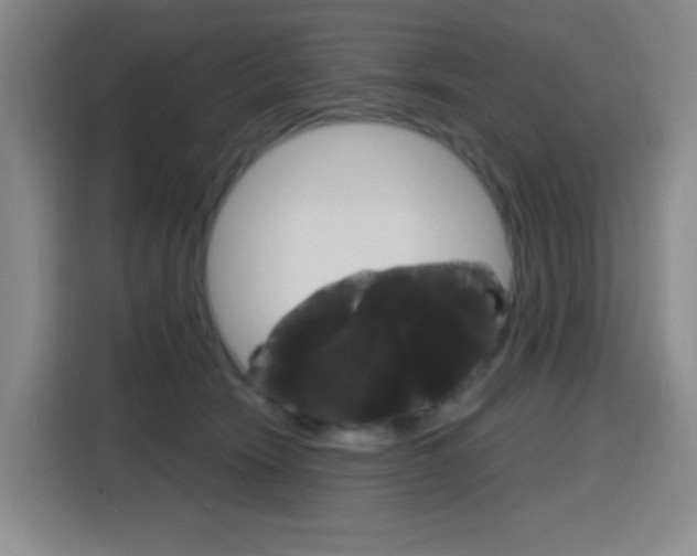 X0000116150466200911230955