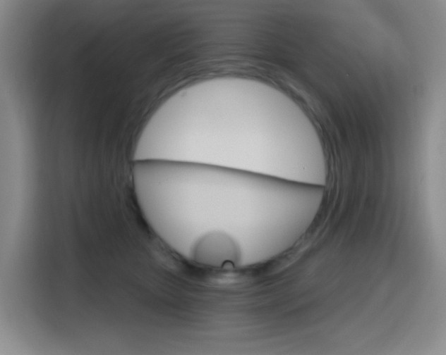X0000116150467200911230955