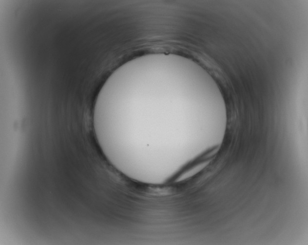 X0000116150469200911230955