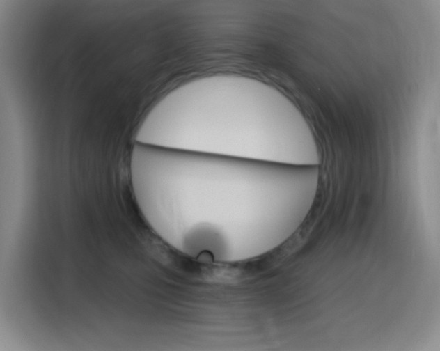 X0000116150471200911230955
