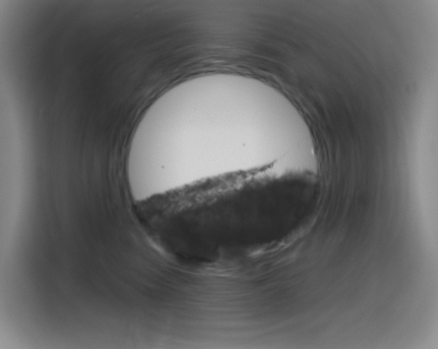 X0000116150474200911230955