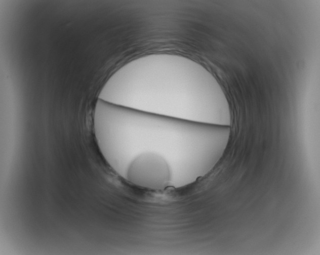 X0000116150475200911230955