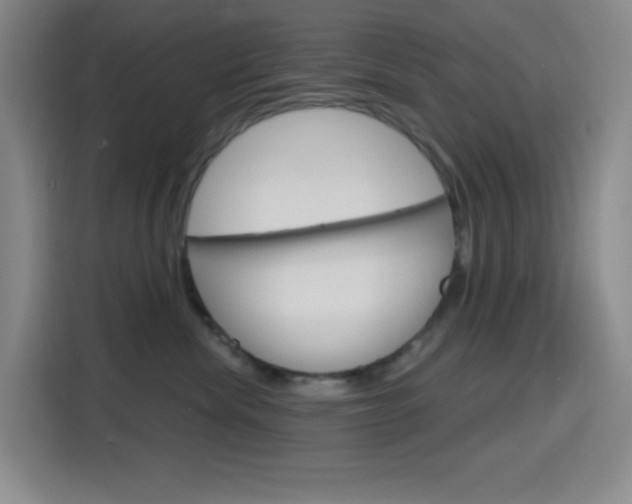 X0000116150476200911230955