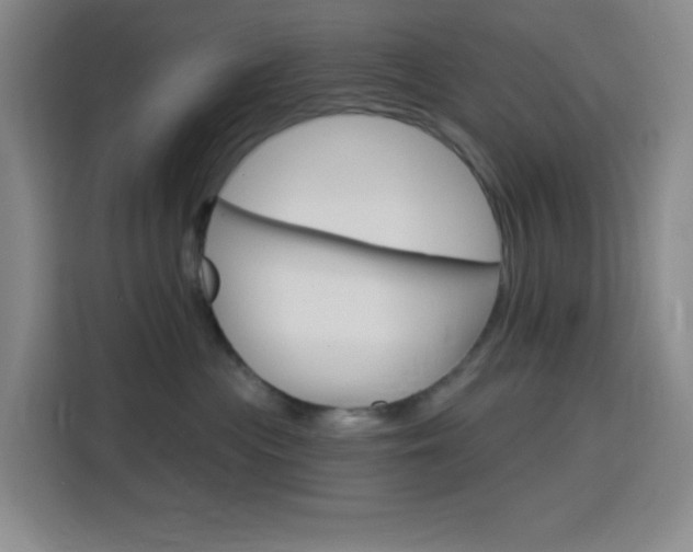 X0000116150477200911230955