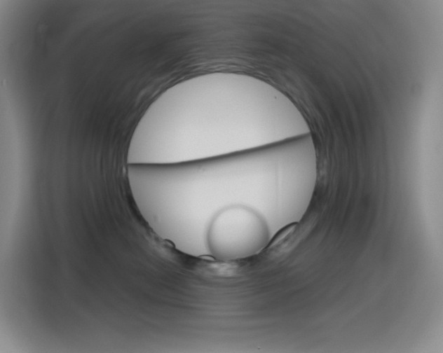 X0000116150478200911230955