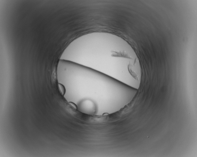 X0000116150479200911230955
