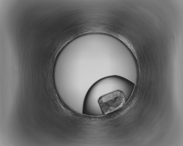 X0000116150481200911230955