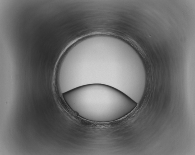 X0000116150484200911230954