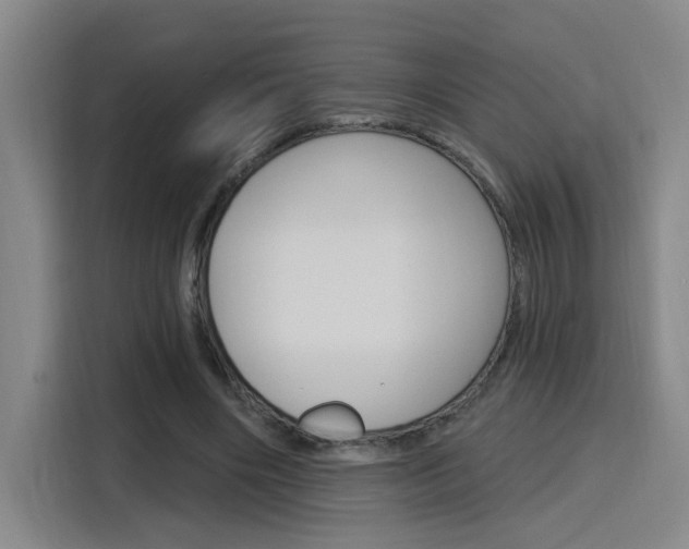 X0000116150490200911230954