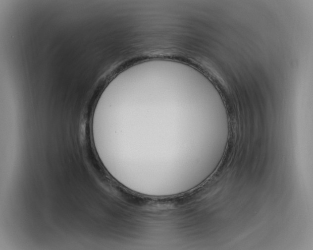 X0000116150491200911230954