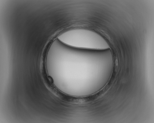 X0000116150492200911230954