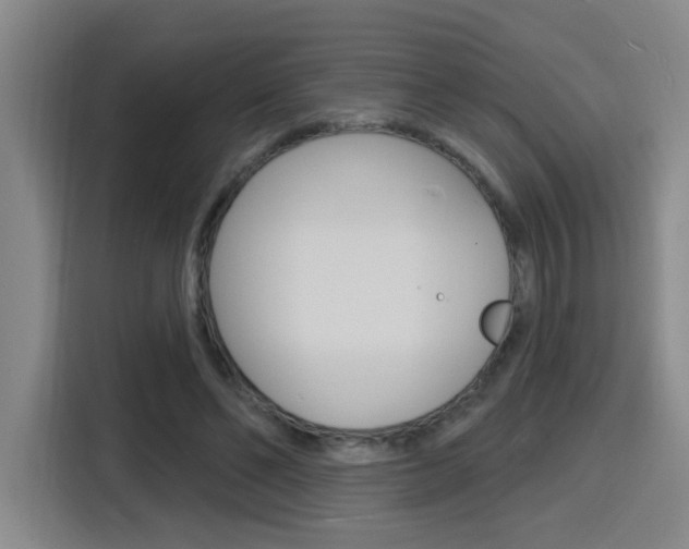 X0000116150494200911230954