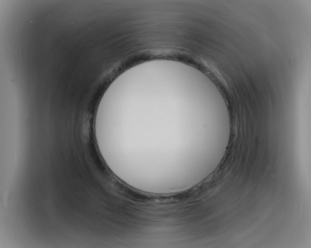 X0000116150495200911230954