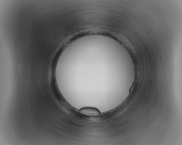 X0000116150496200911230954
