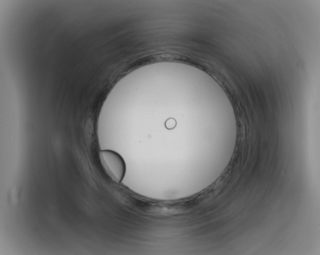 X0000116150498200911230954