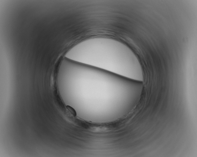 X0000116150500200911230954