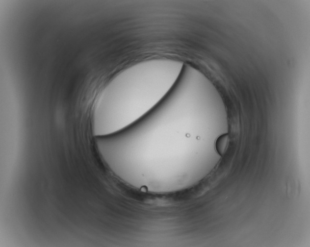 X0000116150503200911230954