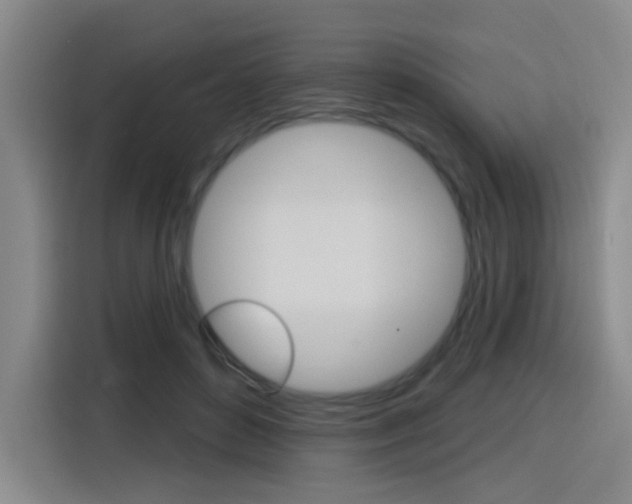 X0000116150504200911230954